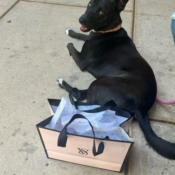 Meet your Posher, Christine - Picture 8 of 9